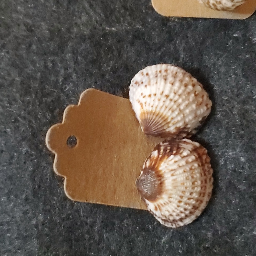 Assorted Shell Earrings - Picture 6 of 16